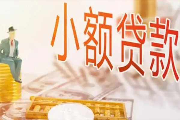 成都个人私人身份证借私借-成都个人个人上门小额贷款-成都个人短借公证